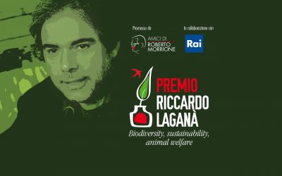 Giornalismo: nasce il premio Riccardo Laganà